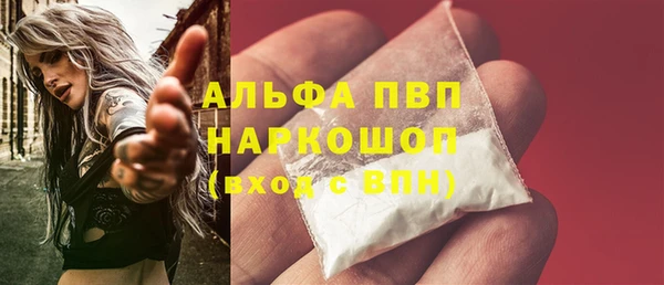 стаф Арсеньев