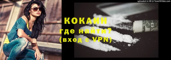 стаф Арсеньев