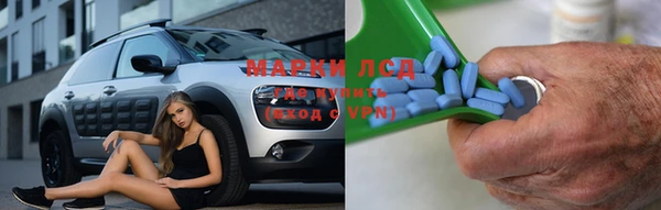 стаф Арсеньев