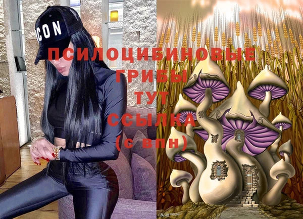 стаф Арсеньев