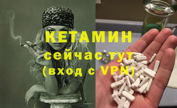 стаф Арсеньев
