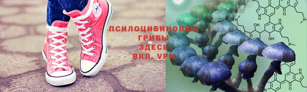 гидропоника Аркадак