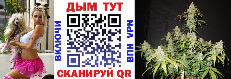Канабис OG Kush  Купить закладки  Славянск-на-Кубани 